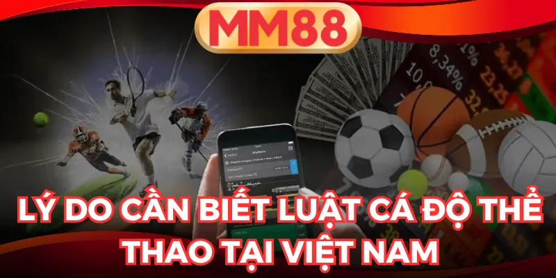 luật cá độ thể thao tại Việt Nam